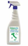 00 - VERDEPiù PROFESSIONALE - 100 - DETERGENTE LAVASECCO ESTERNI & INTERNI VEICOLI